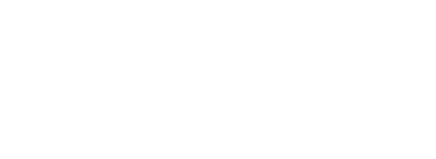 Pro Evo Detailing